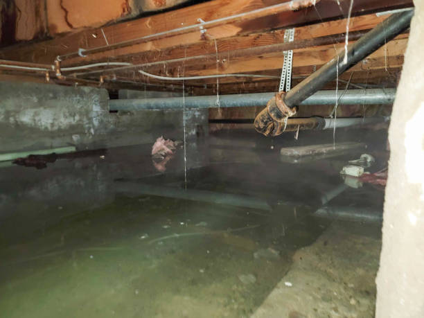 Best Water damage cleanup near me  in Republic, PA