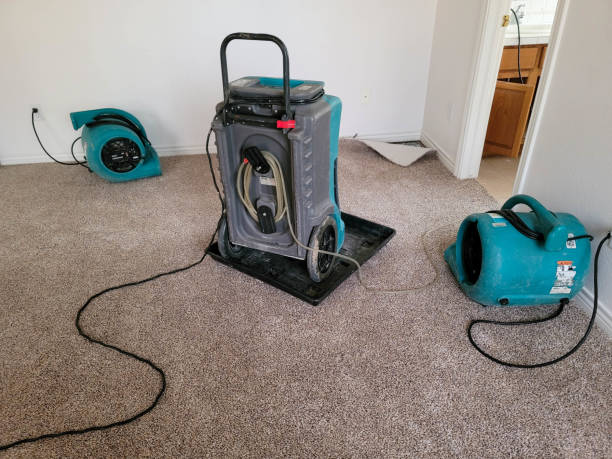 Best Water damage restoration near me  in Republic, PA