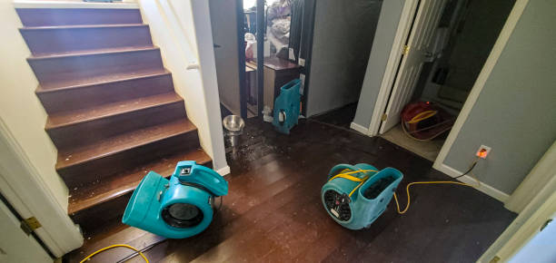 Best Professional water damage repair  in Republic, PA