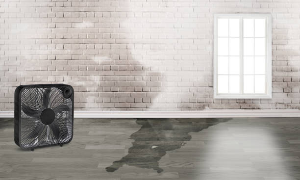 Best Water damage restoration specialists  in Republic, PA