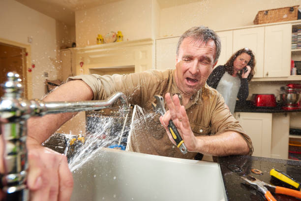 Best Water damage restoration mold remediation  in Republic, PA